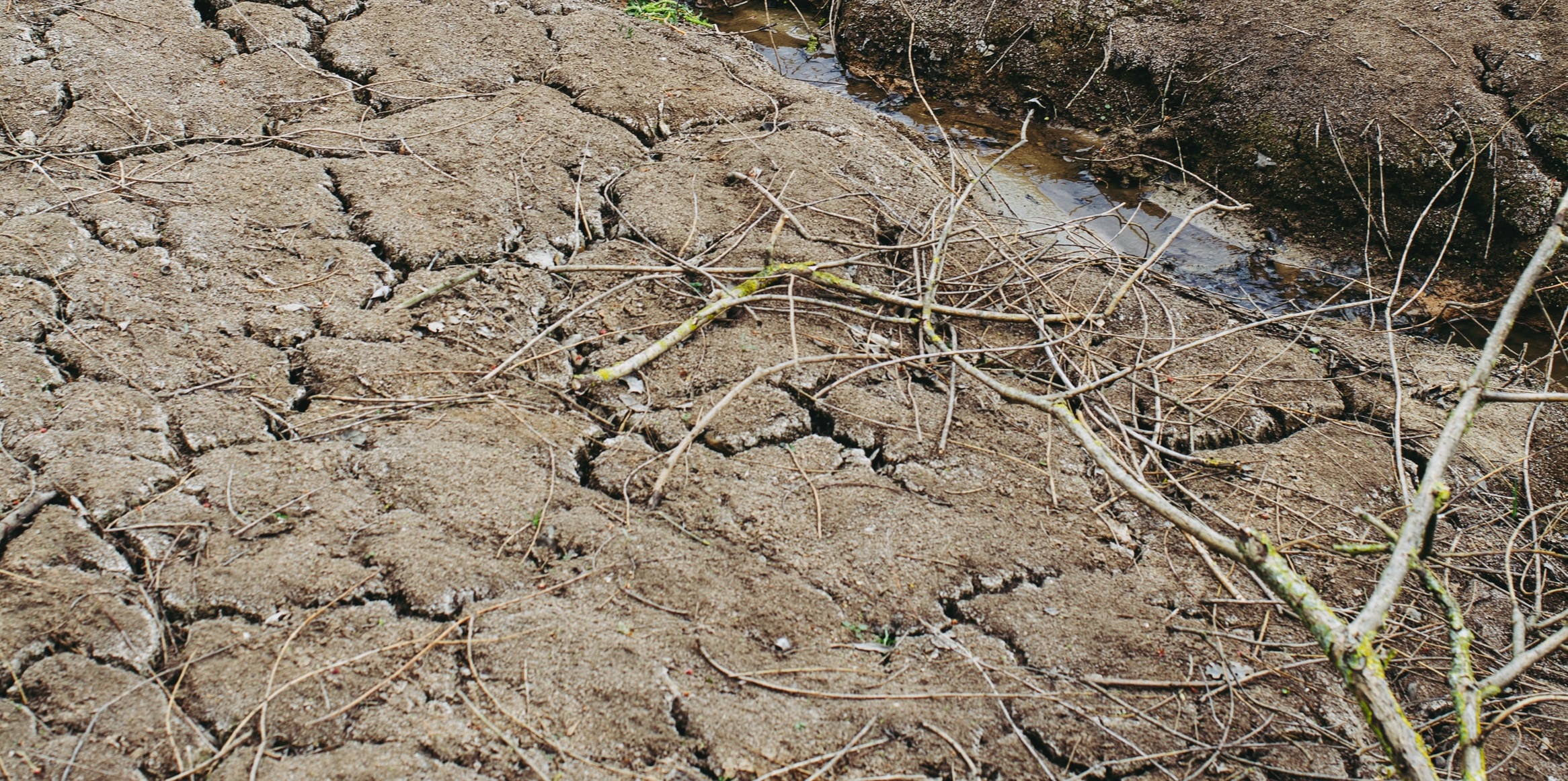 Agricoltura biodinamica: una risposta concreta alla siccità